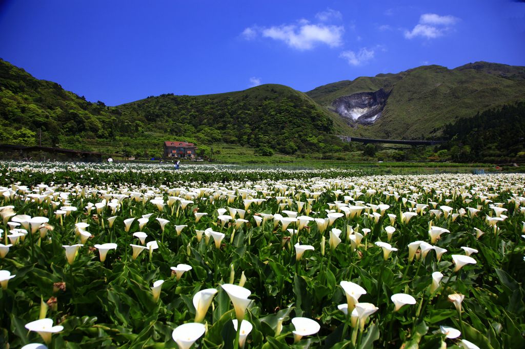 陽明山國家公園 Yangmingshan National Park