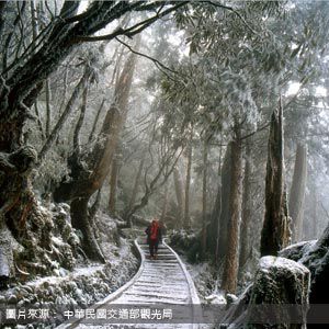 太平山國家森林遊樂區 Taipingshan National Forest Recreation Area