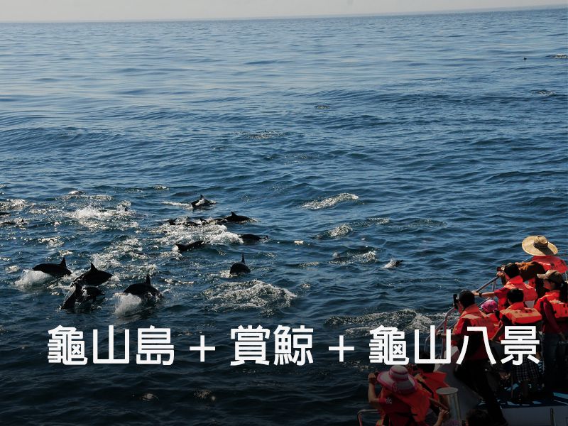 登龜山島 + 繞島 + 賞鯨 (三合一)