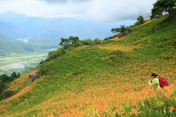 六十石山金針花步道與觀景平台