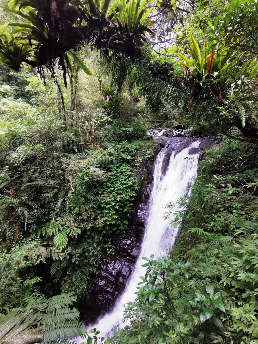 宜蘭-林美石磐步道