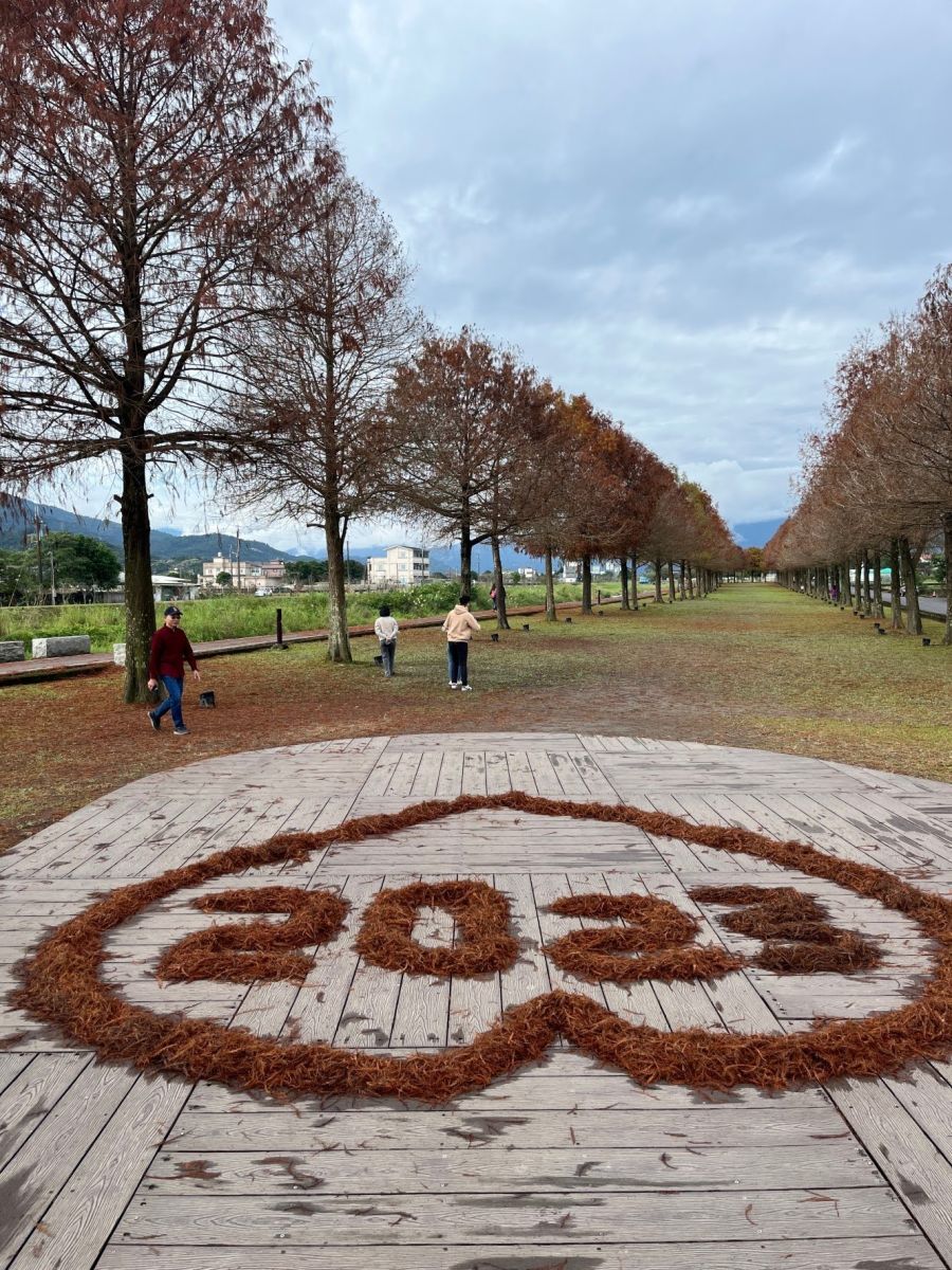 宜蘭-三星鄉落羽松秘境