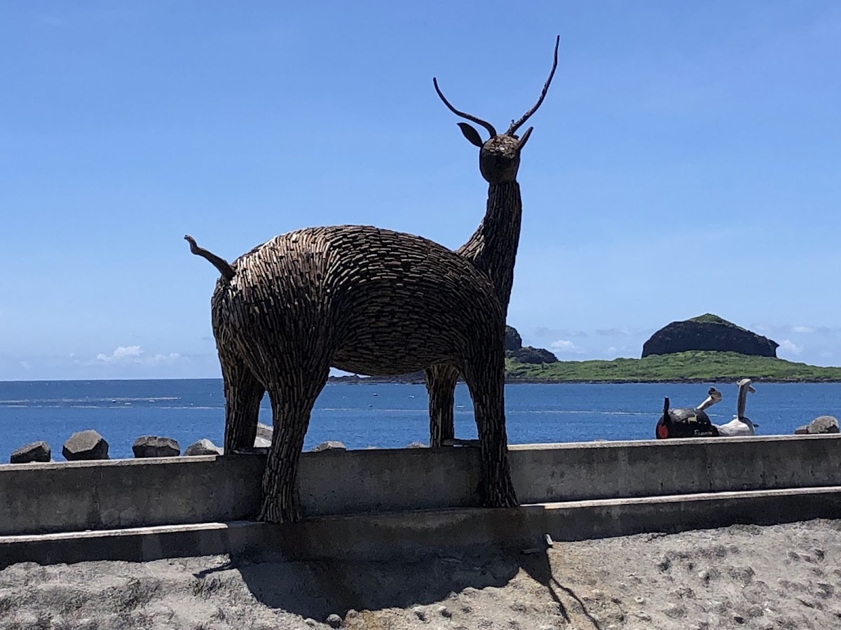 比西里岸