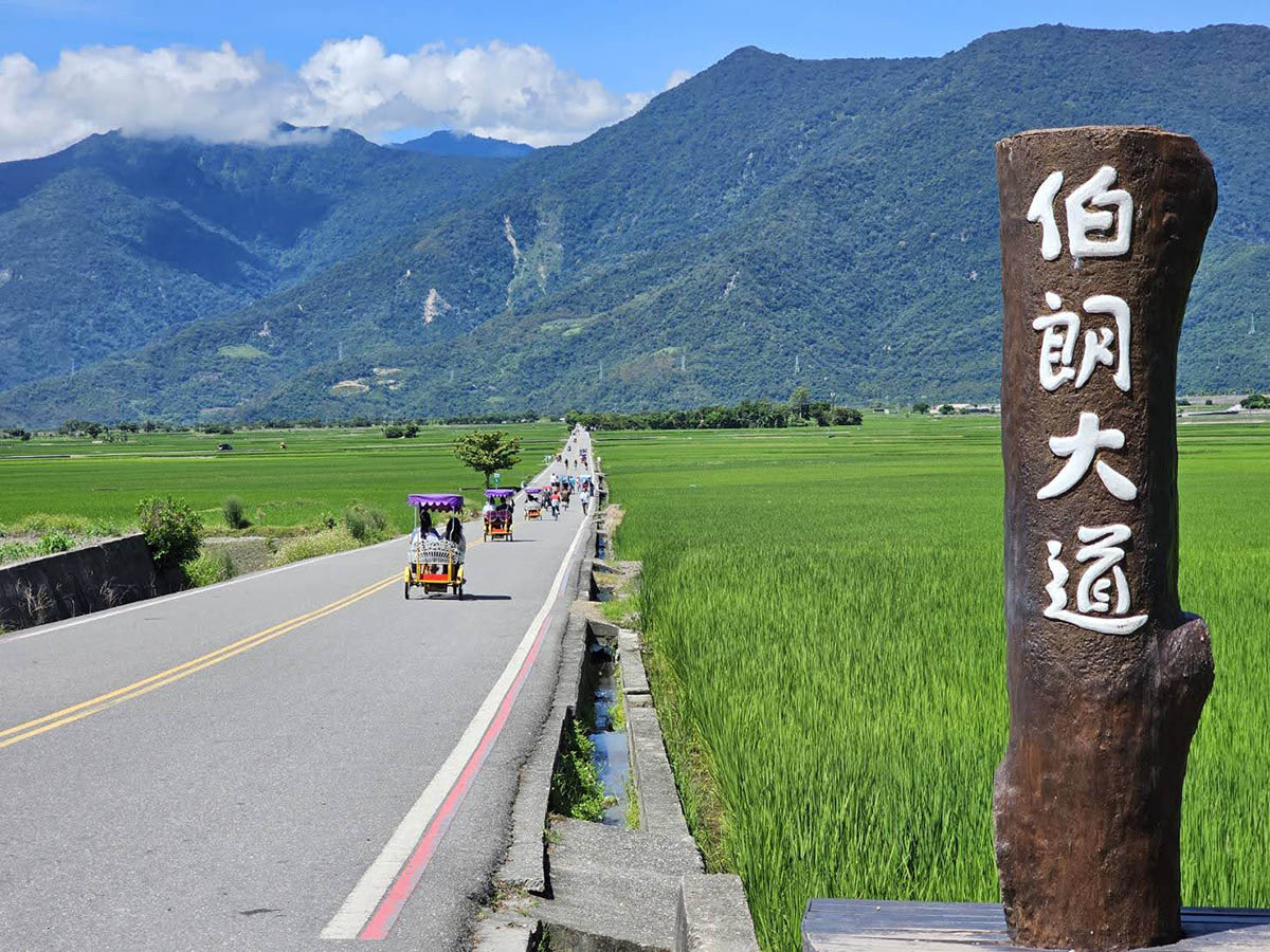 台東池上伯朗大道